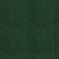 su-06 su-06